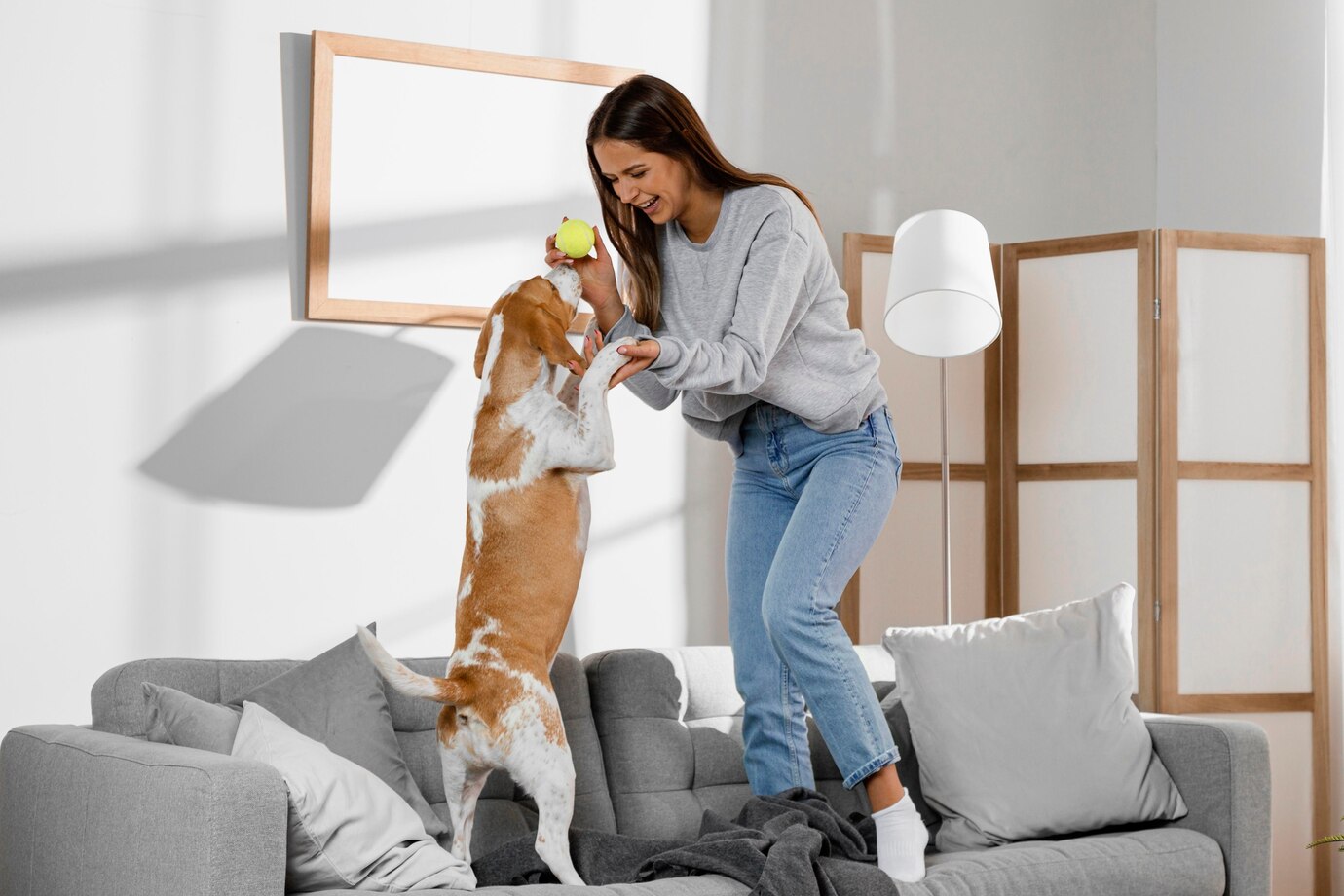 Luxury Pet Care