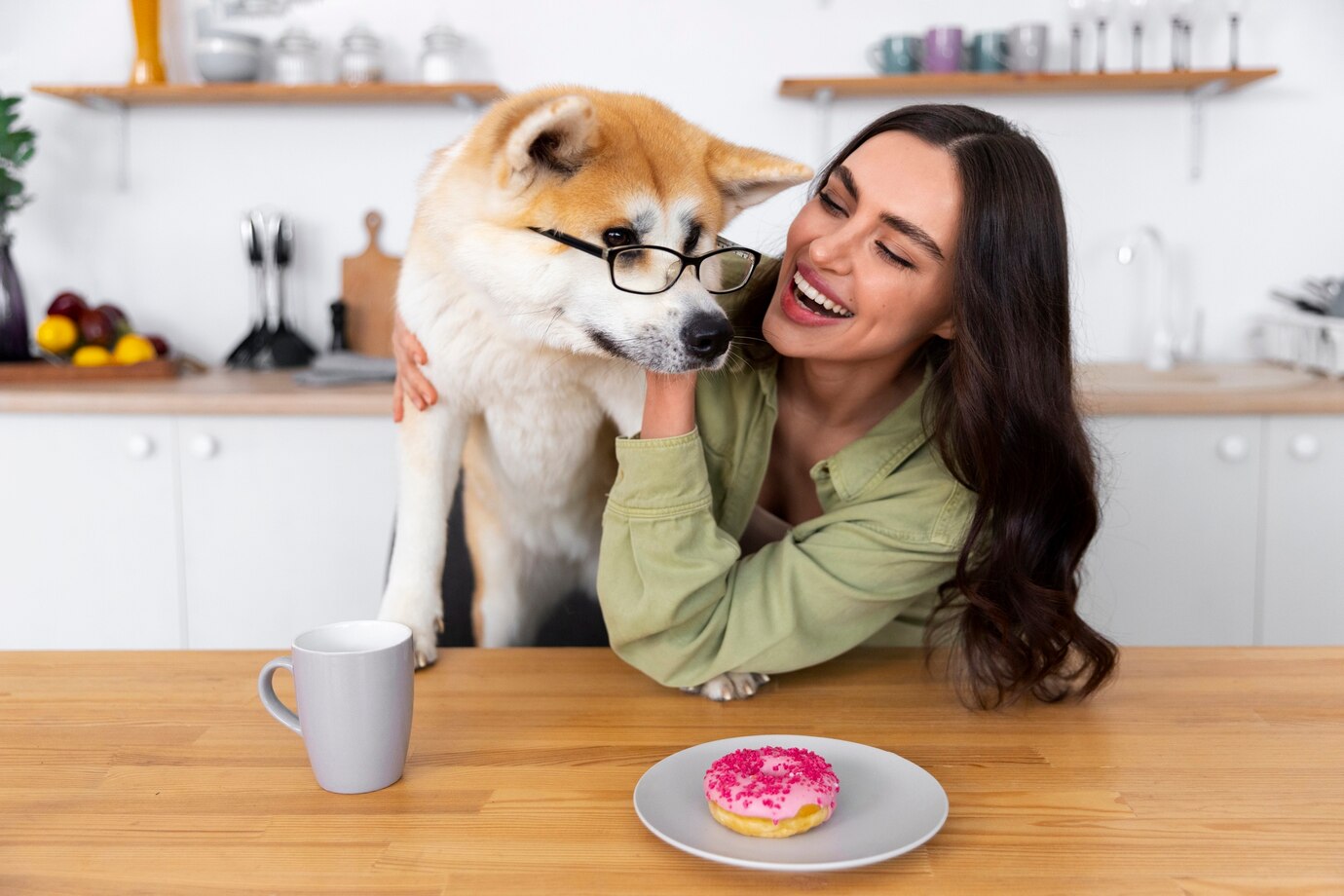 Pet Owners