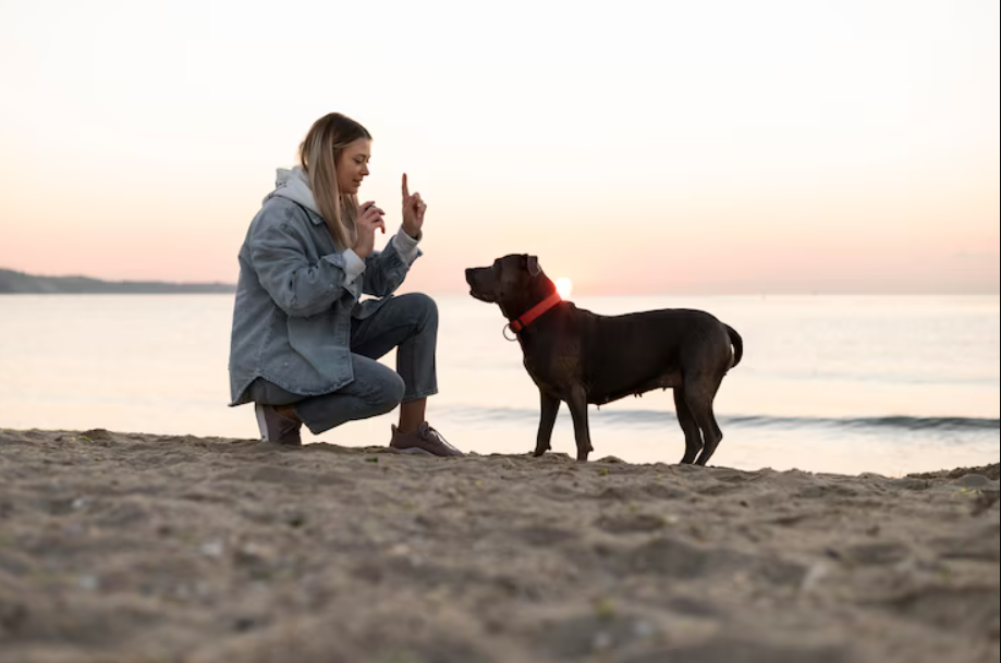 Zylkene for Dogs