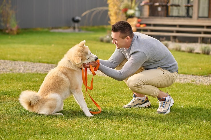 dog training techniques