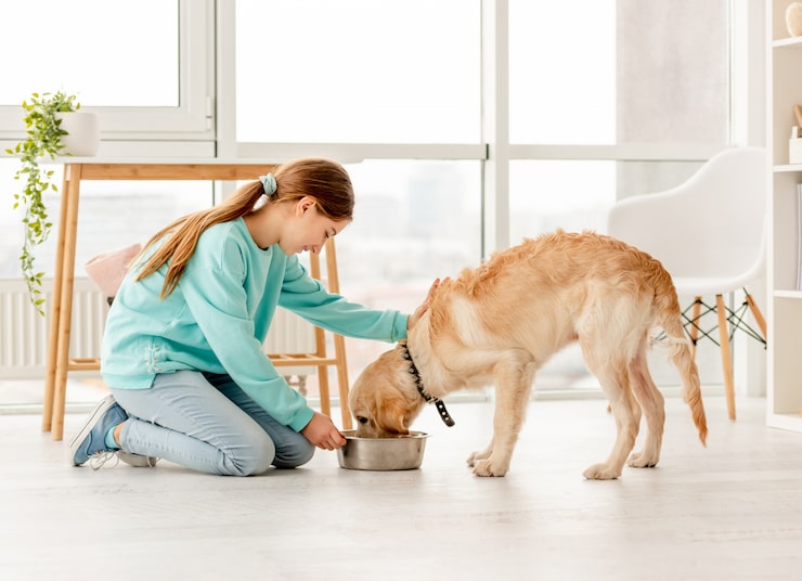 Dog Food Brands