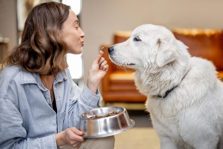 Dog Food Brands