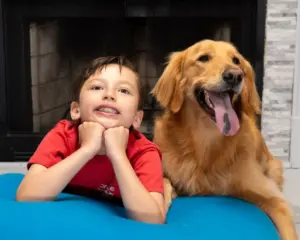 dog treats without preservatives